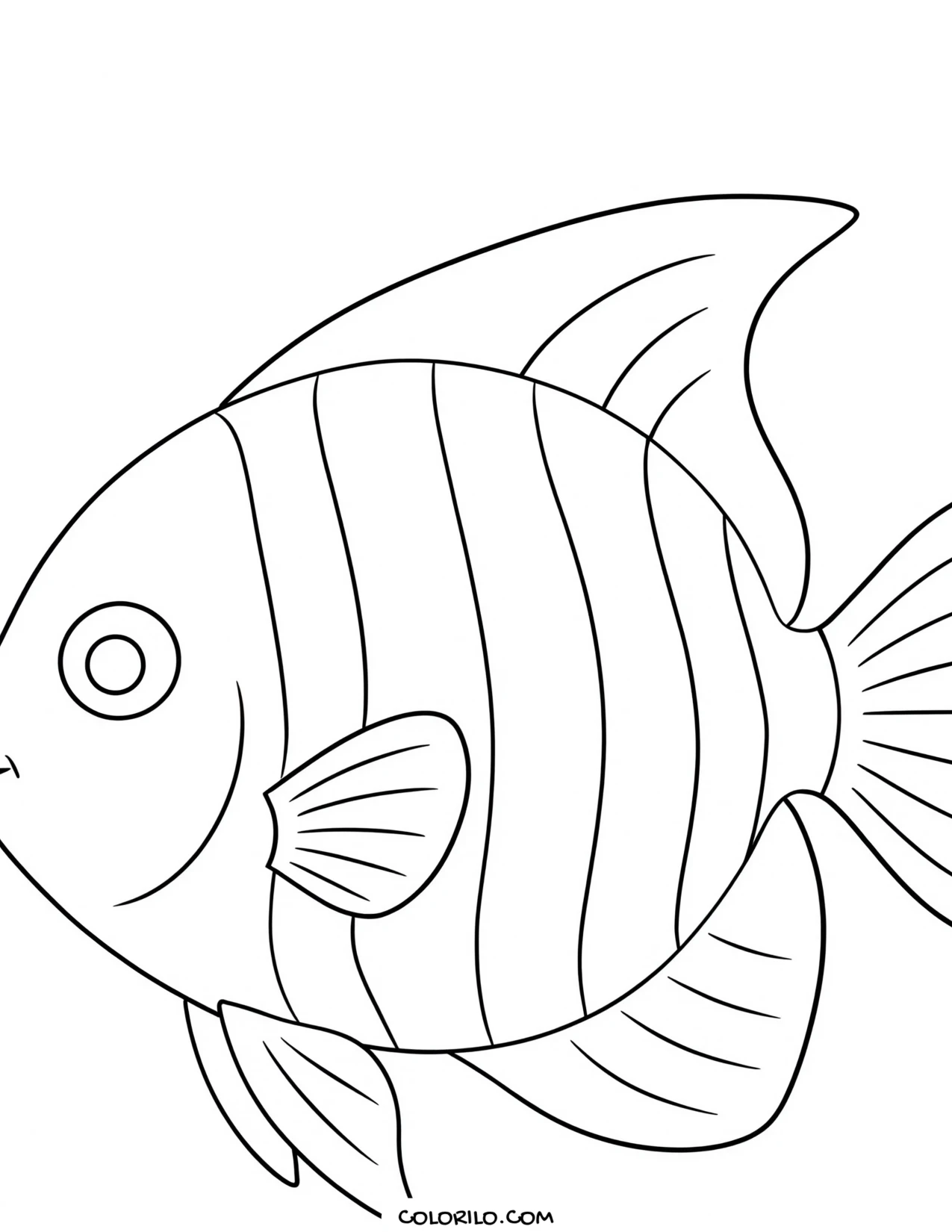 A French angelfish with bold bars coloring page