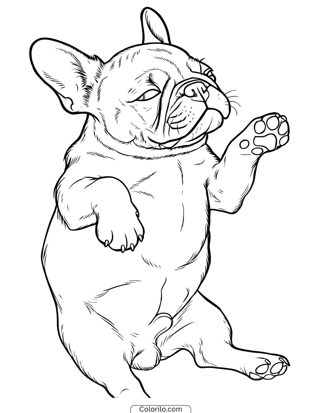 A French Bulldog asleep coloring page