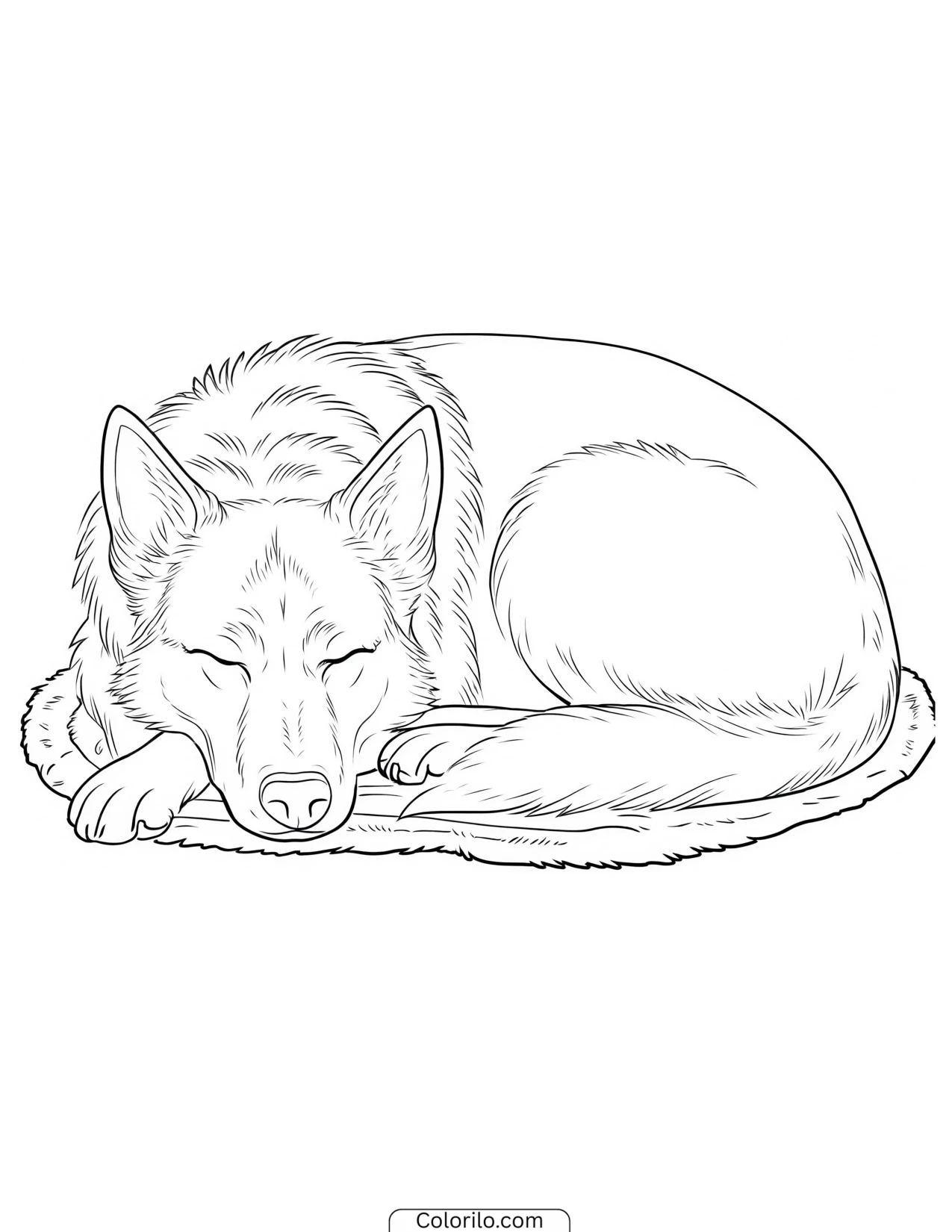 A German Shepherd asleep coloring page
