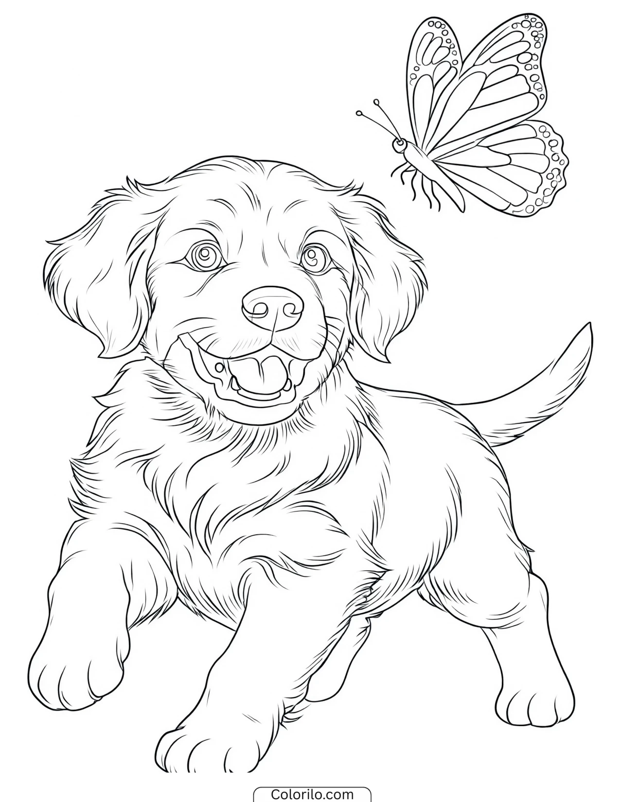A Golden Retriever puppy watching a butterfly coloring page