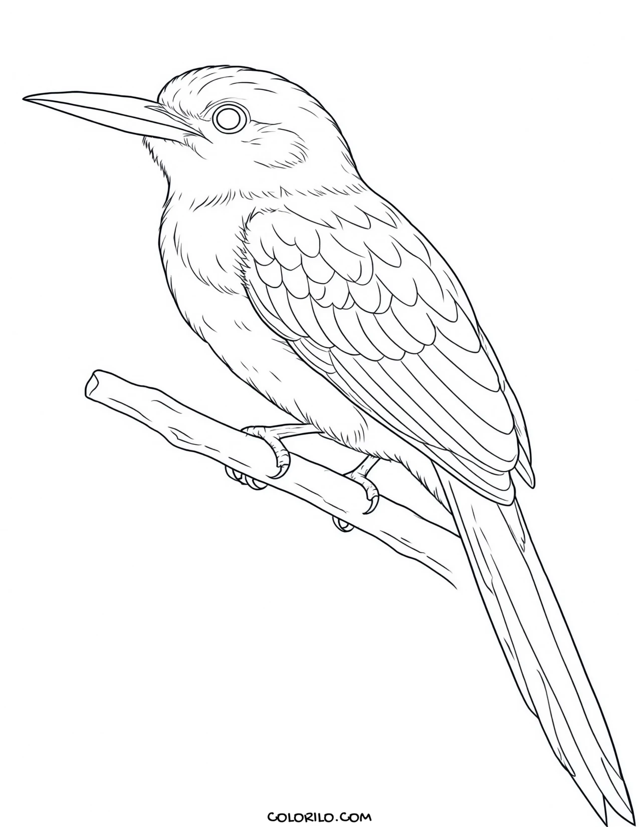 A great blue heron coloring page