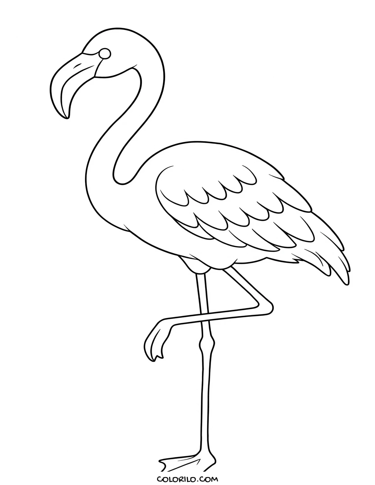 A greater flamingo coloring page