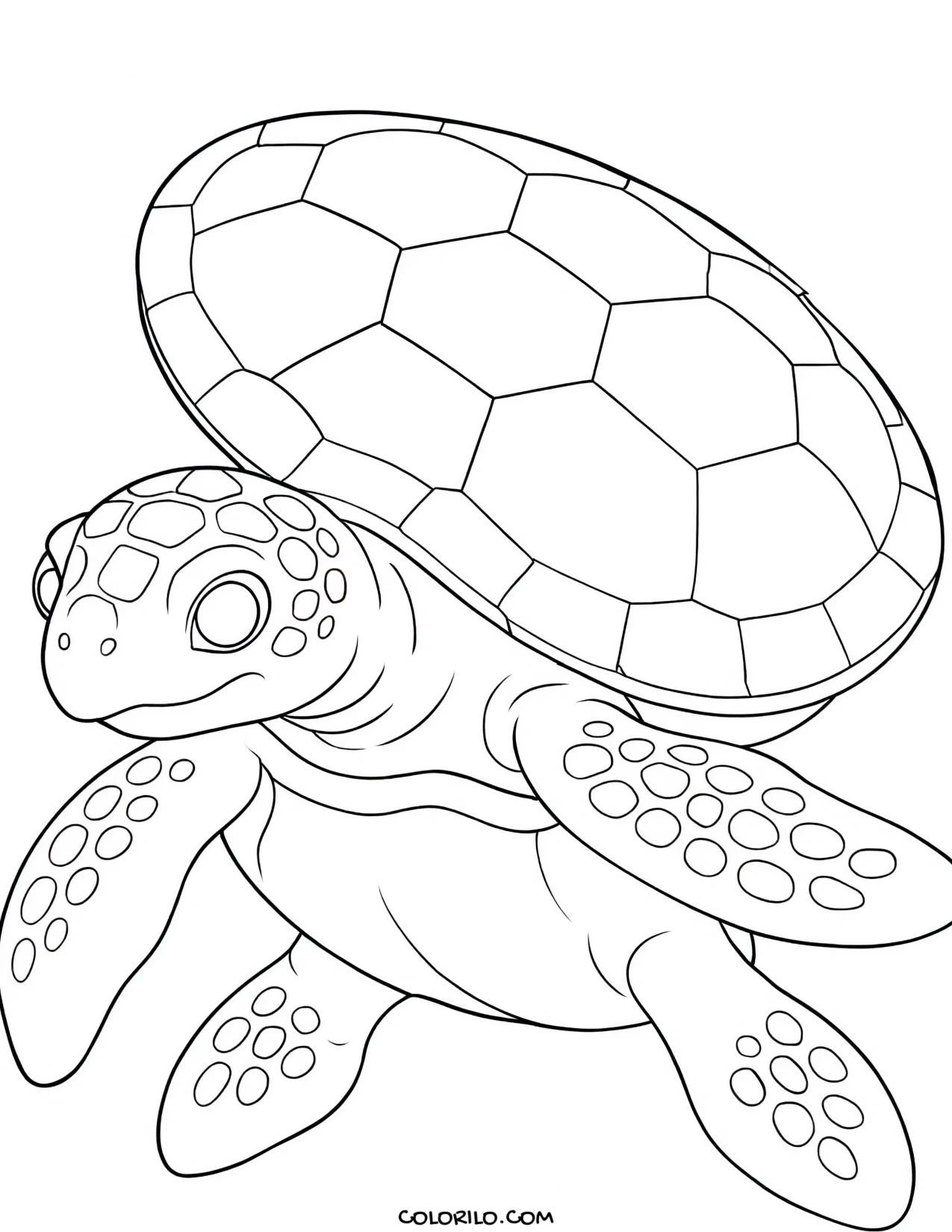 A green sea turtle with its large shell coloring page