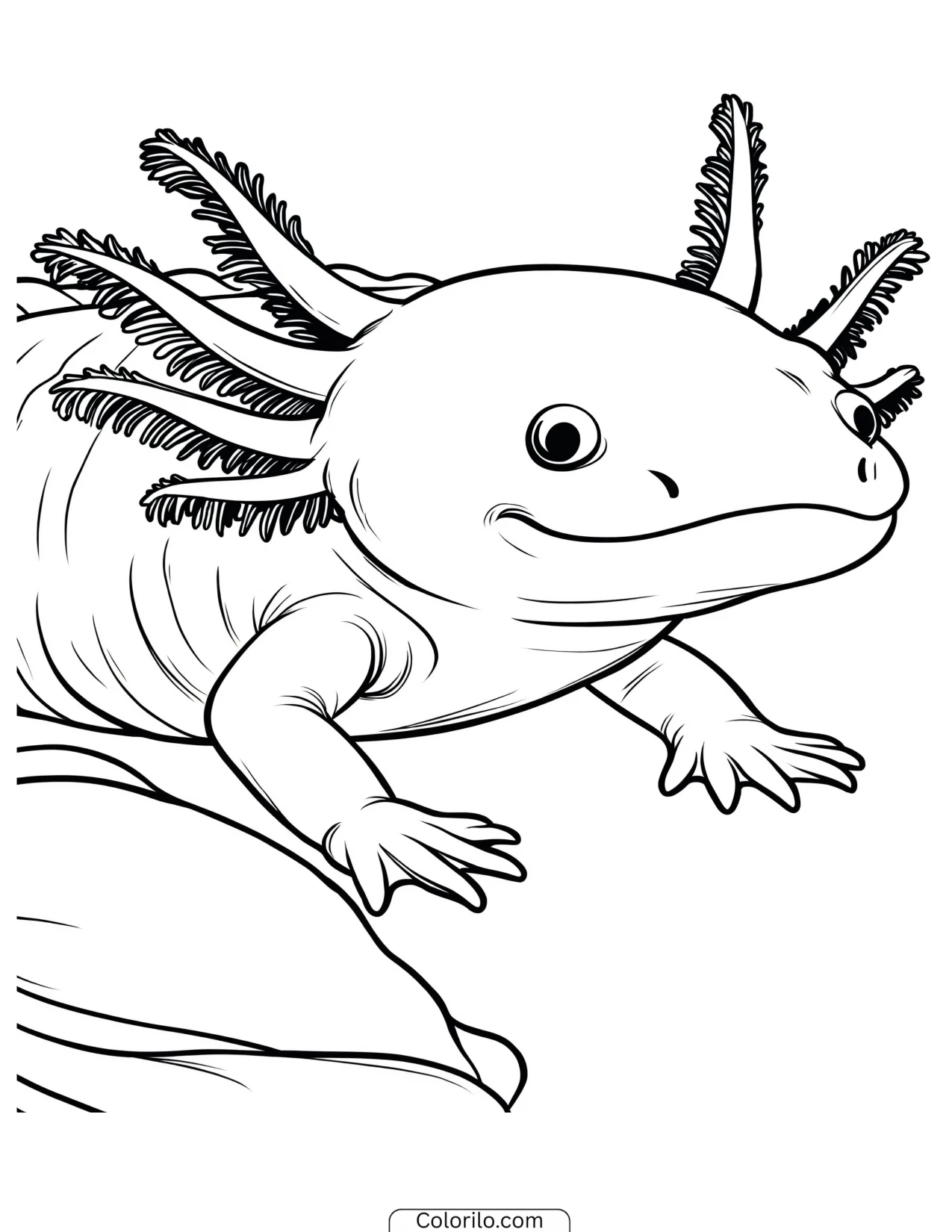 Axolotl grinning straight at the viewer coloring page