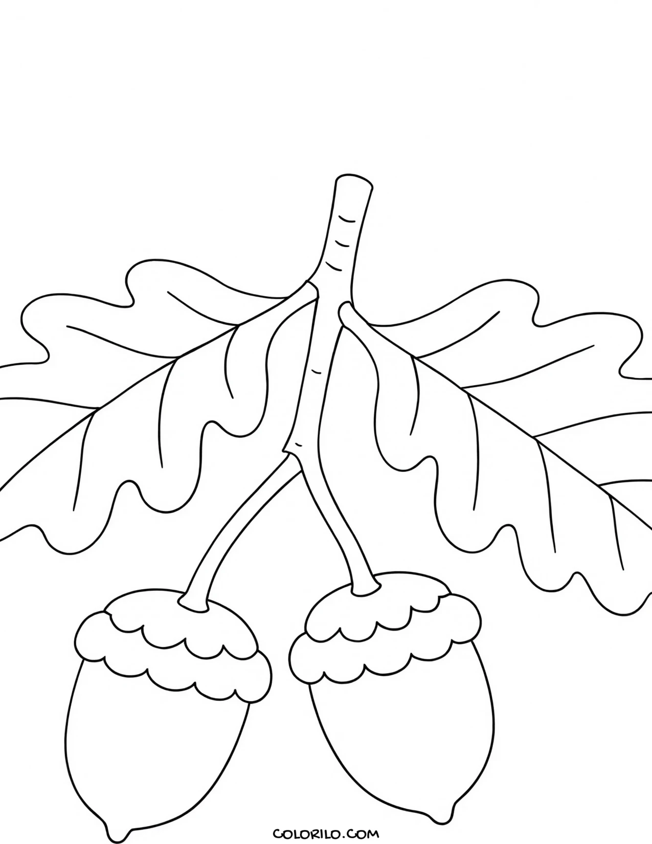 acorns hanging from an oak branch coloring page