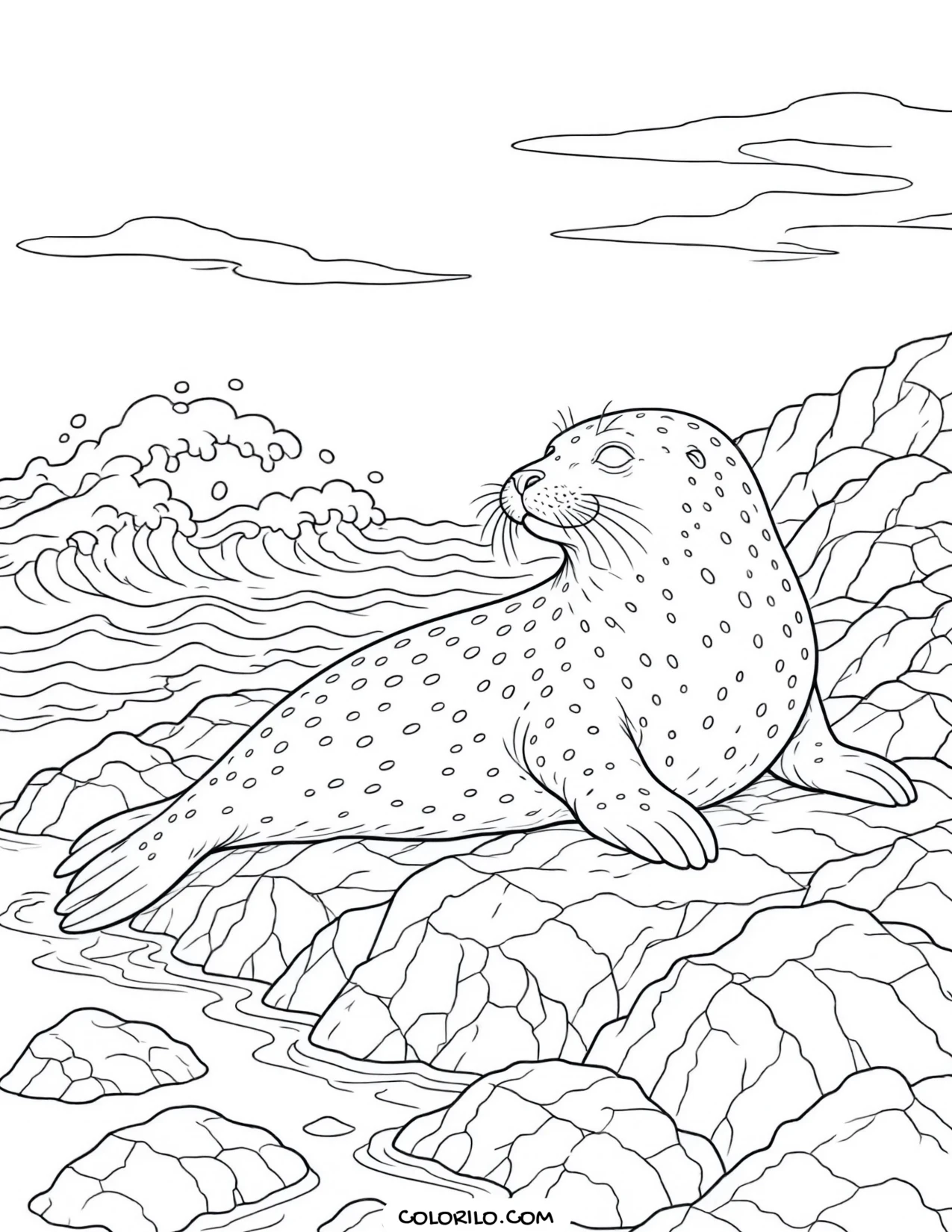A harbor seal on a rocky shoreline coloring page