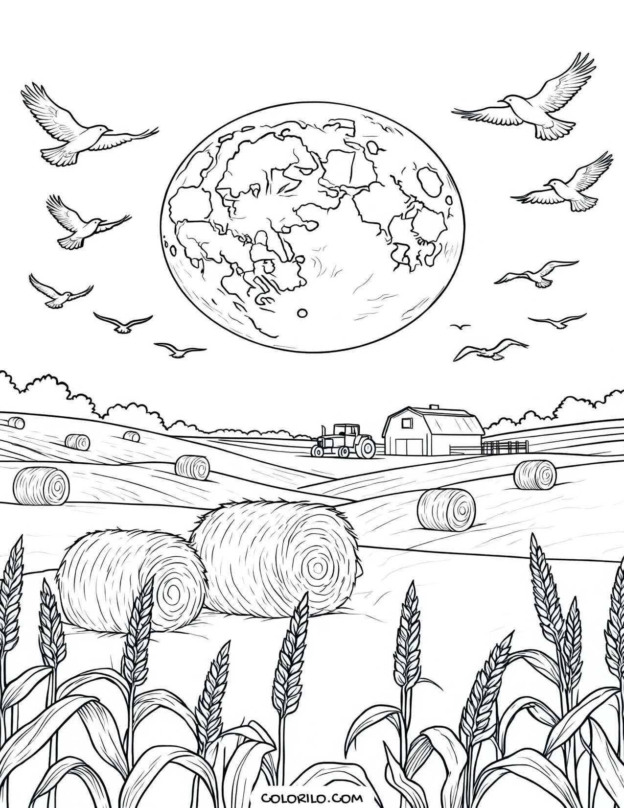 A harvest moon rising over wheat fields coloring page
