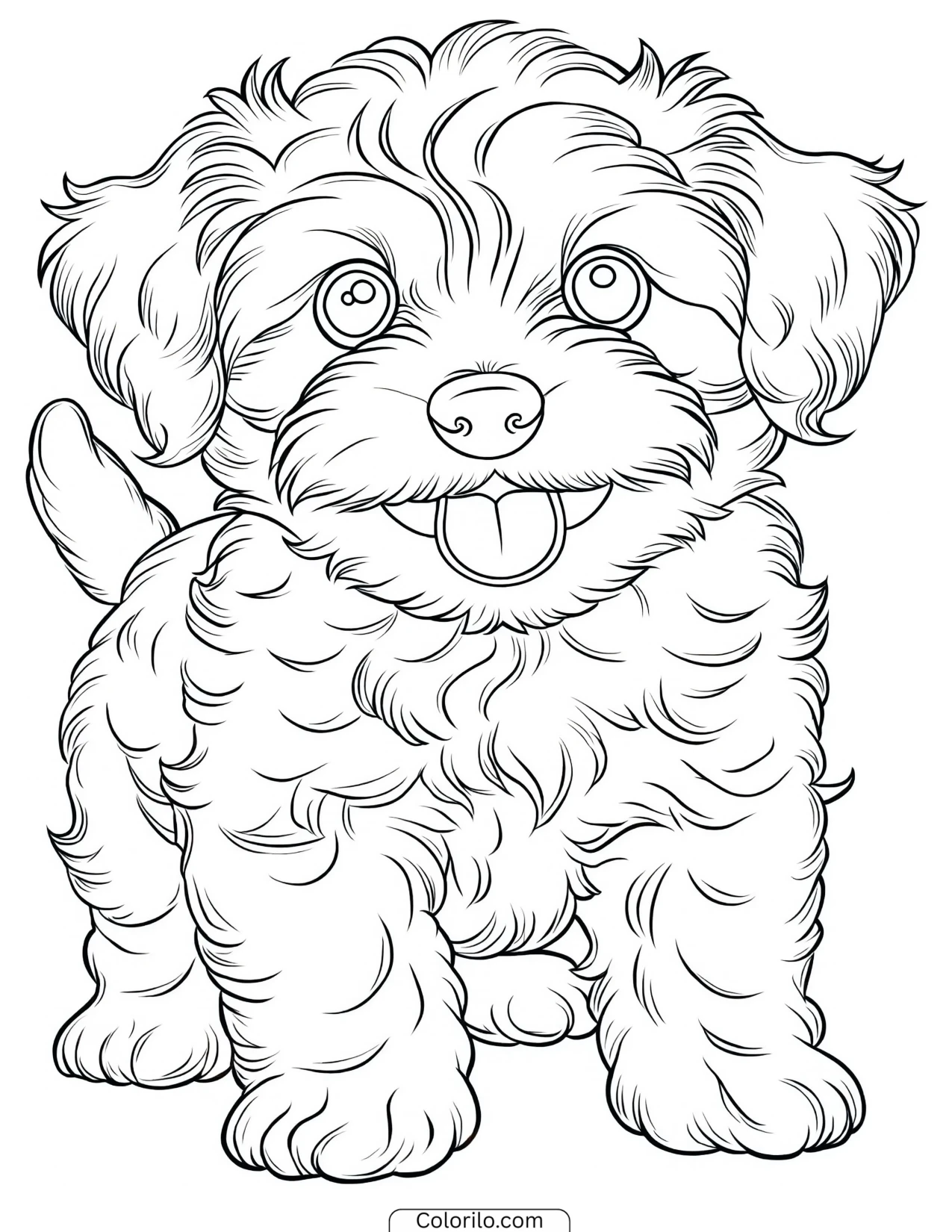 A Havanese puppy bouncing coloring page