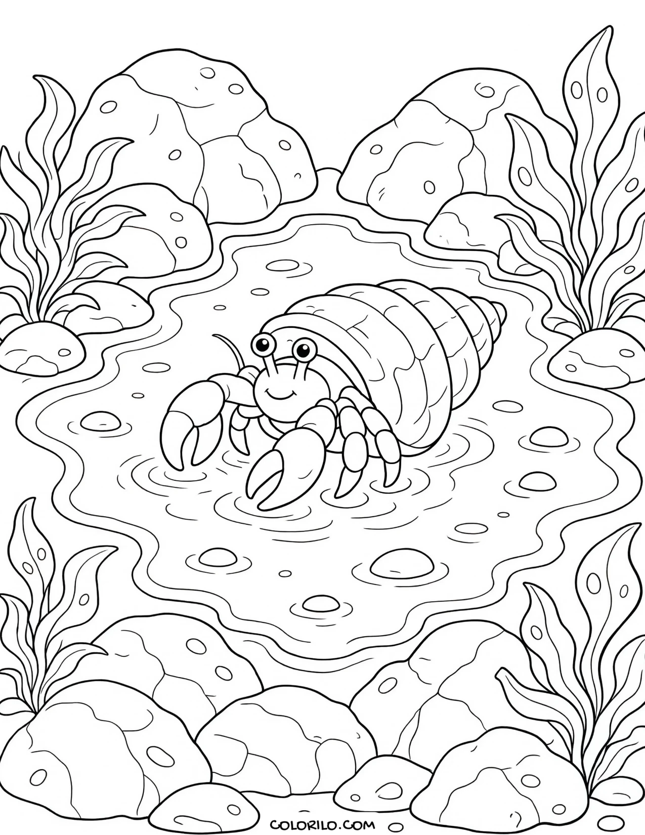 A hermit crab in a rocky tide pool coloring page