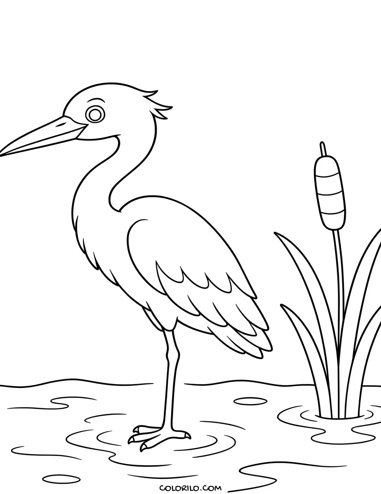 a heron standing in shallow water coloring page