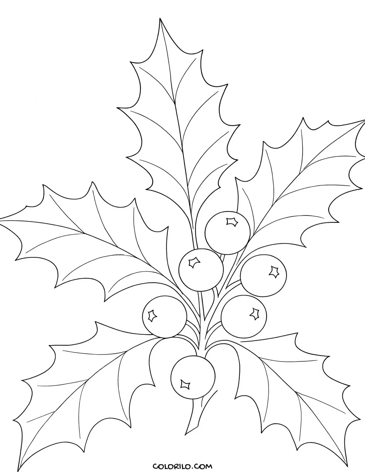 Holly leaves and berries coloring page