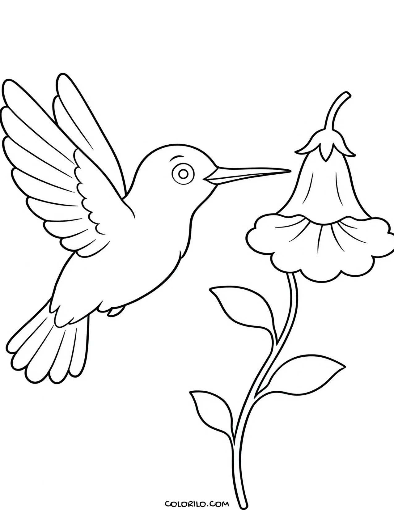 a hummingbird feeding at a trumpet flower coloring page