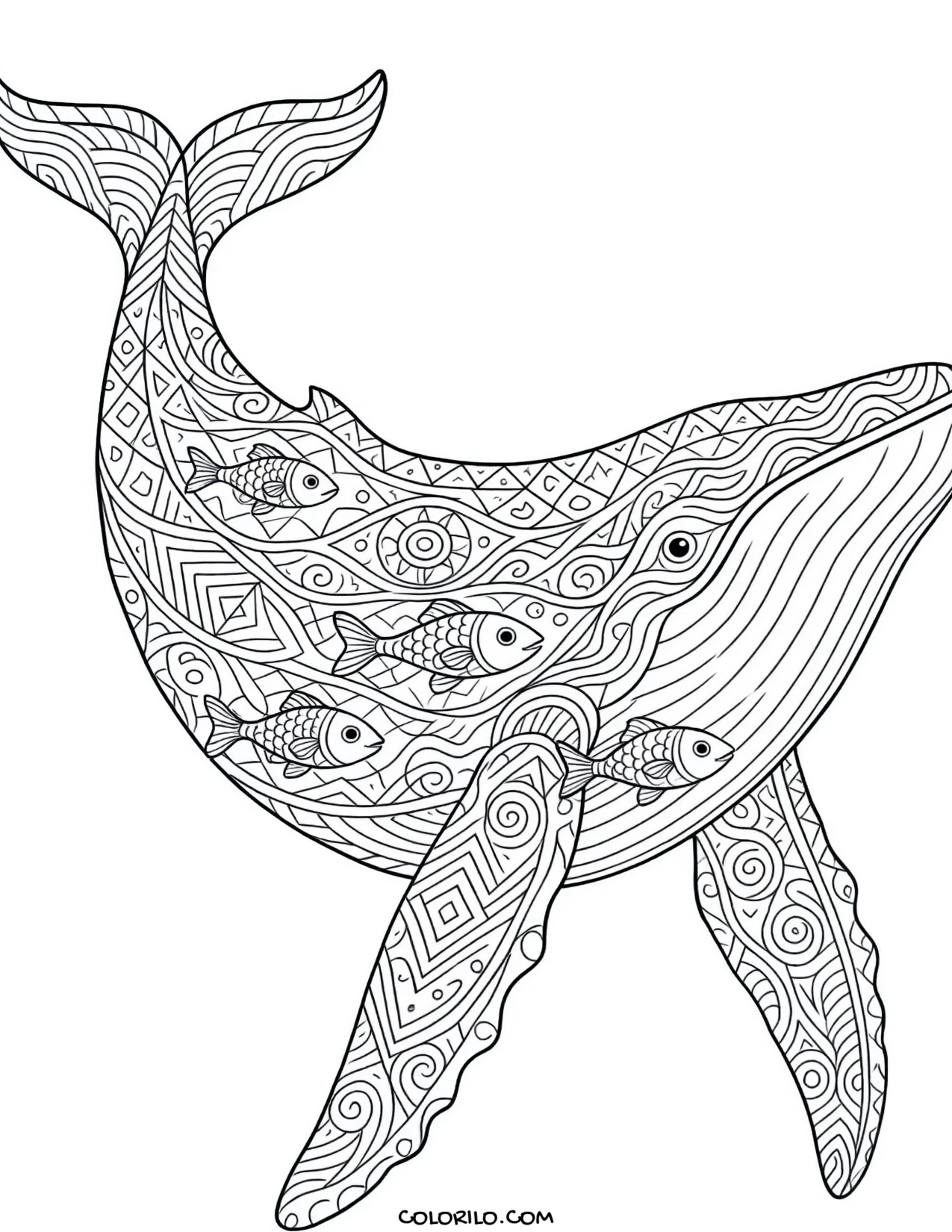 A humpback whale filled with zentangle patterns coloring page