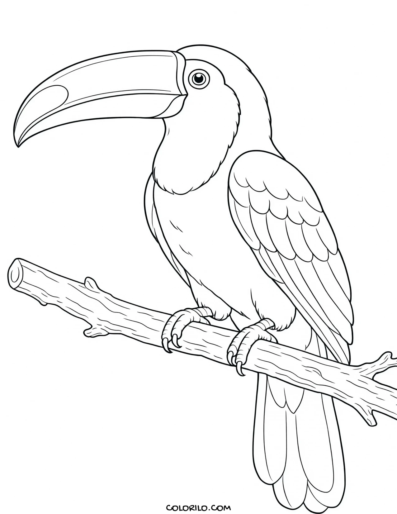 A keel-billed toucan coloring page