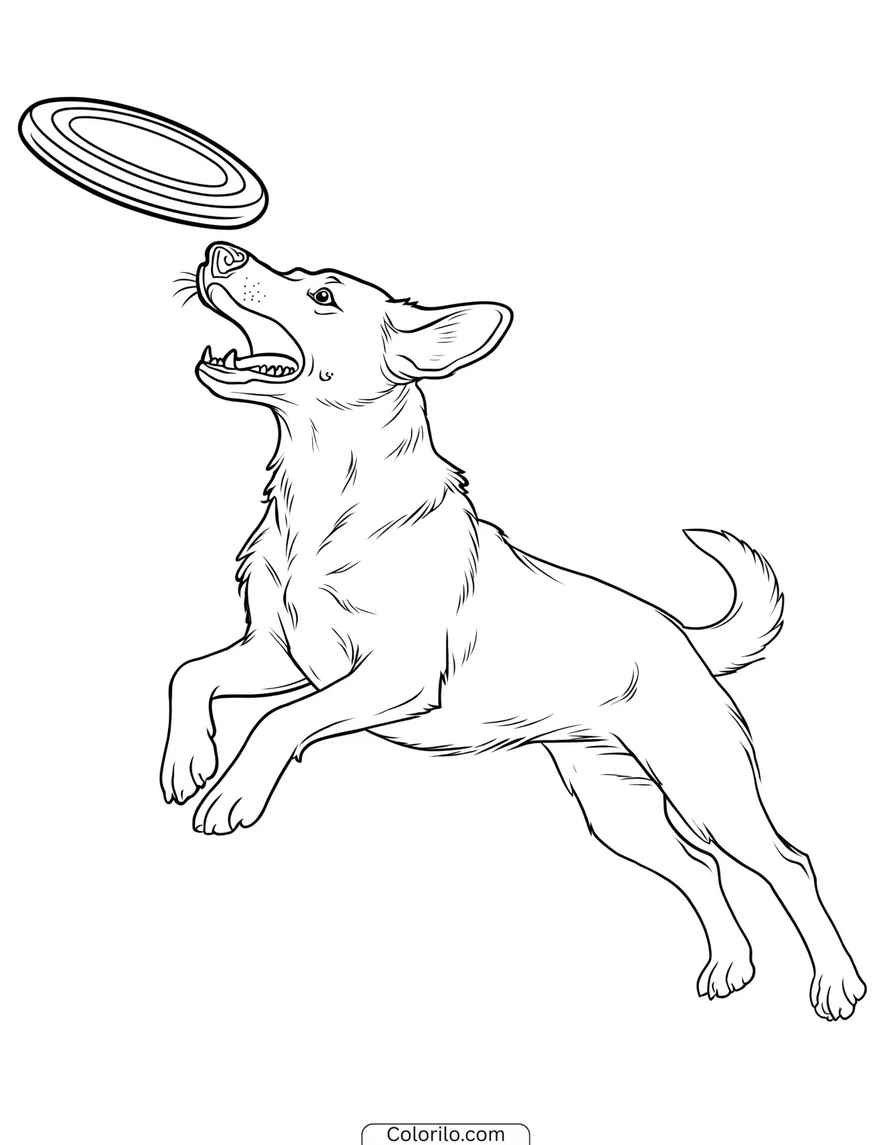 A Labrador jumping to catch a frisbee coloring page