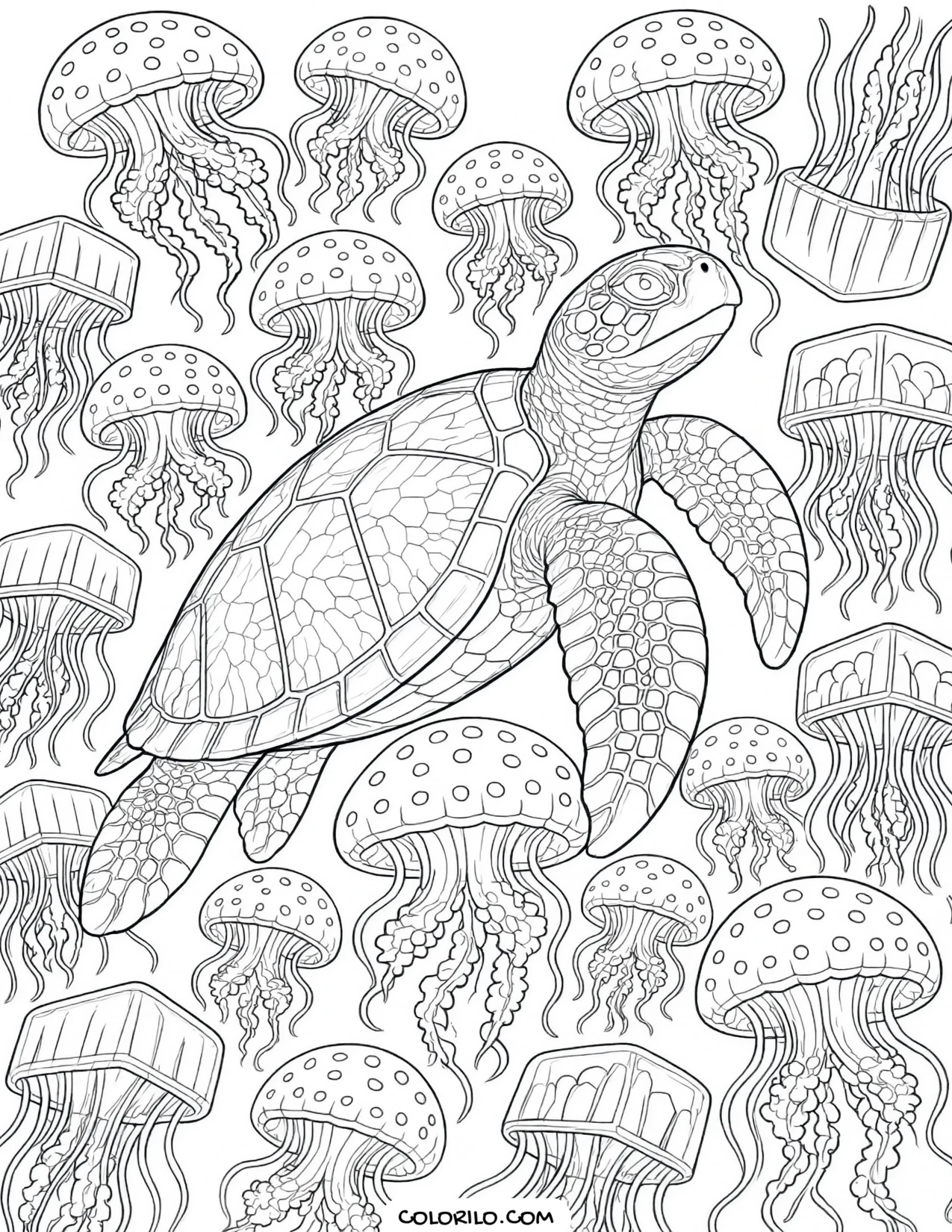A leatherback turtle among a bloom of jellyfish coloring page