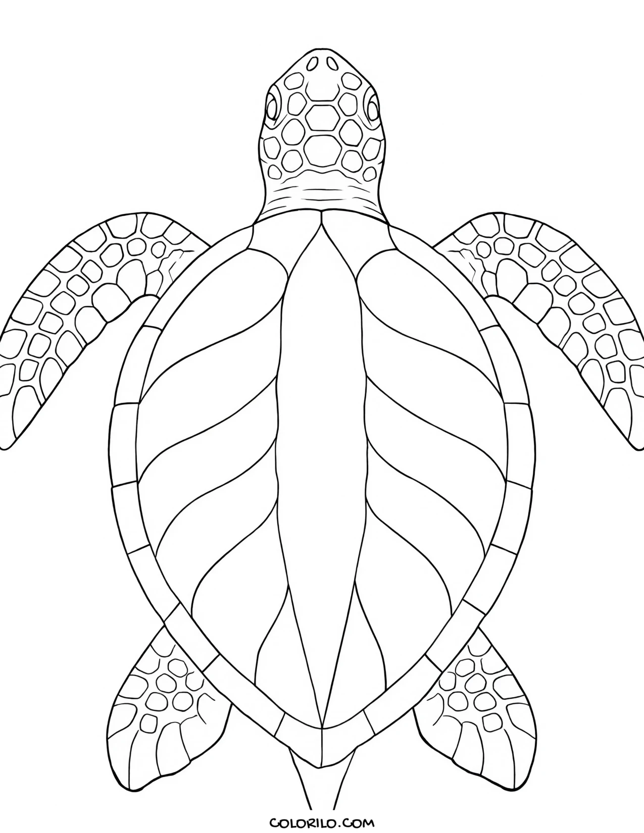 A leatherback turtle with its ridged shell coloring page
