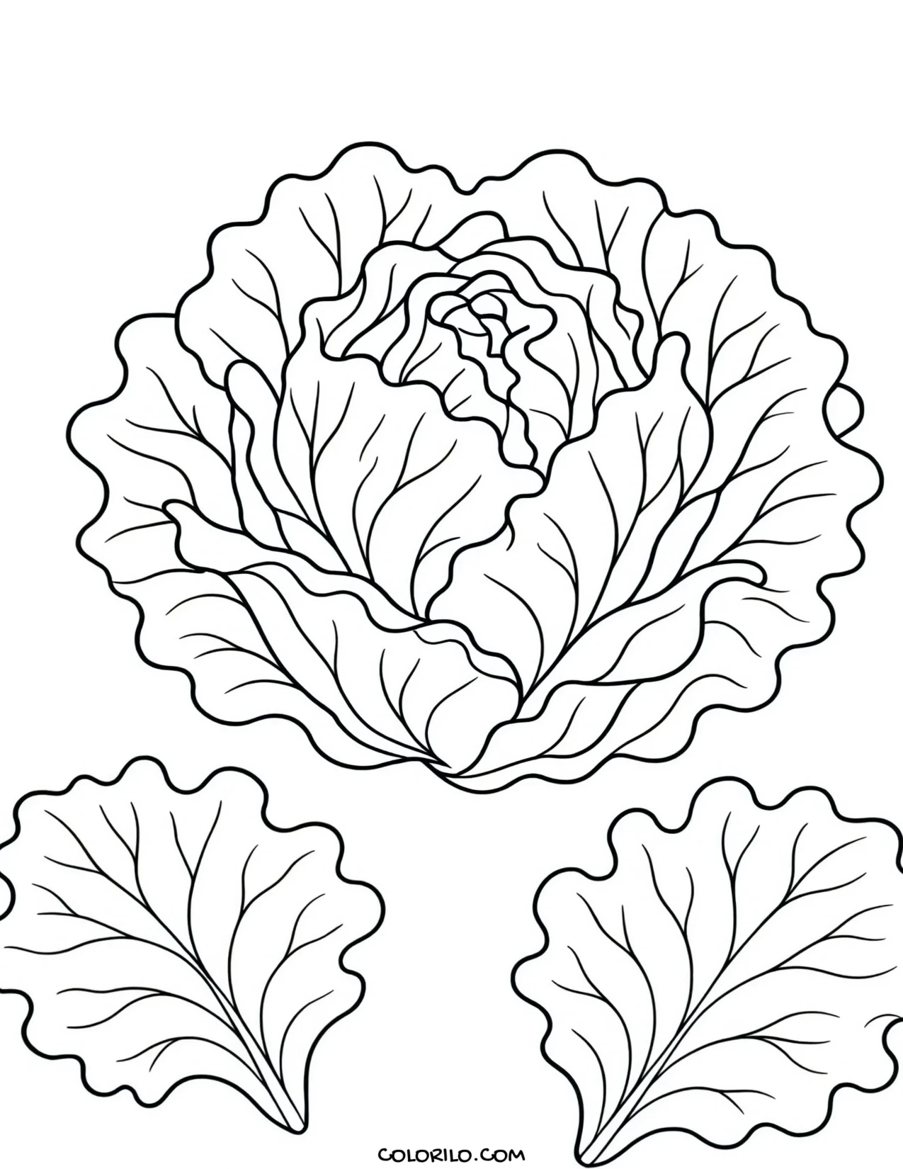 A head of lettuce with loose leaves coloring page