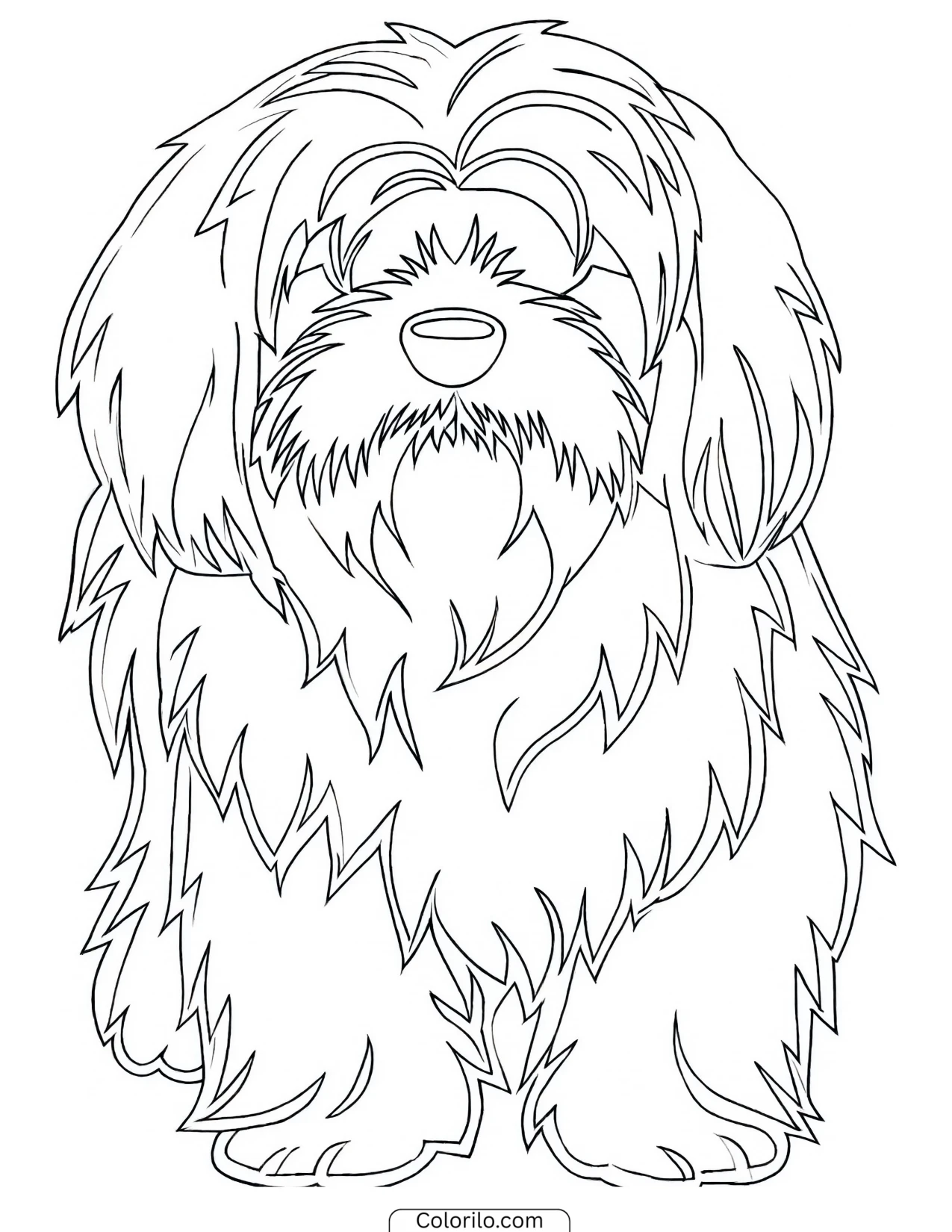 A Lhasa Apso with its long coat coloring page