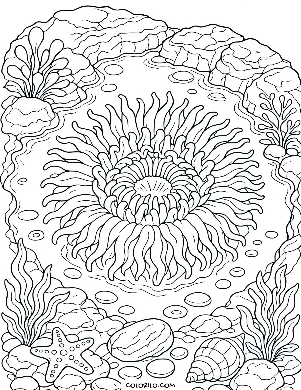 A magnificent sea anemone in a rock pool coloring page