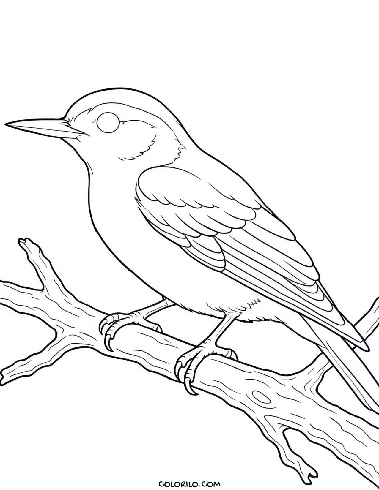 A mallard duck coloring page