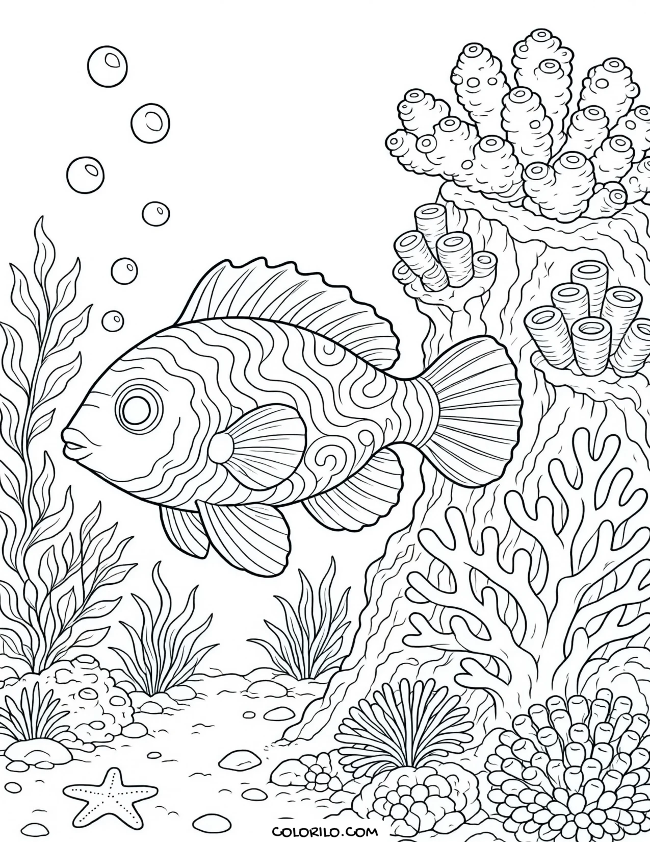 A mandarin fish beside a coral outcrop coloring page