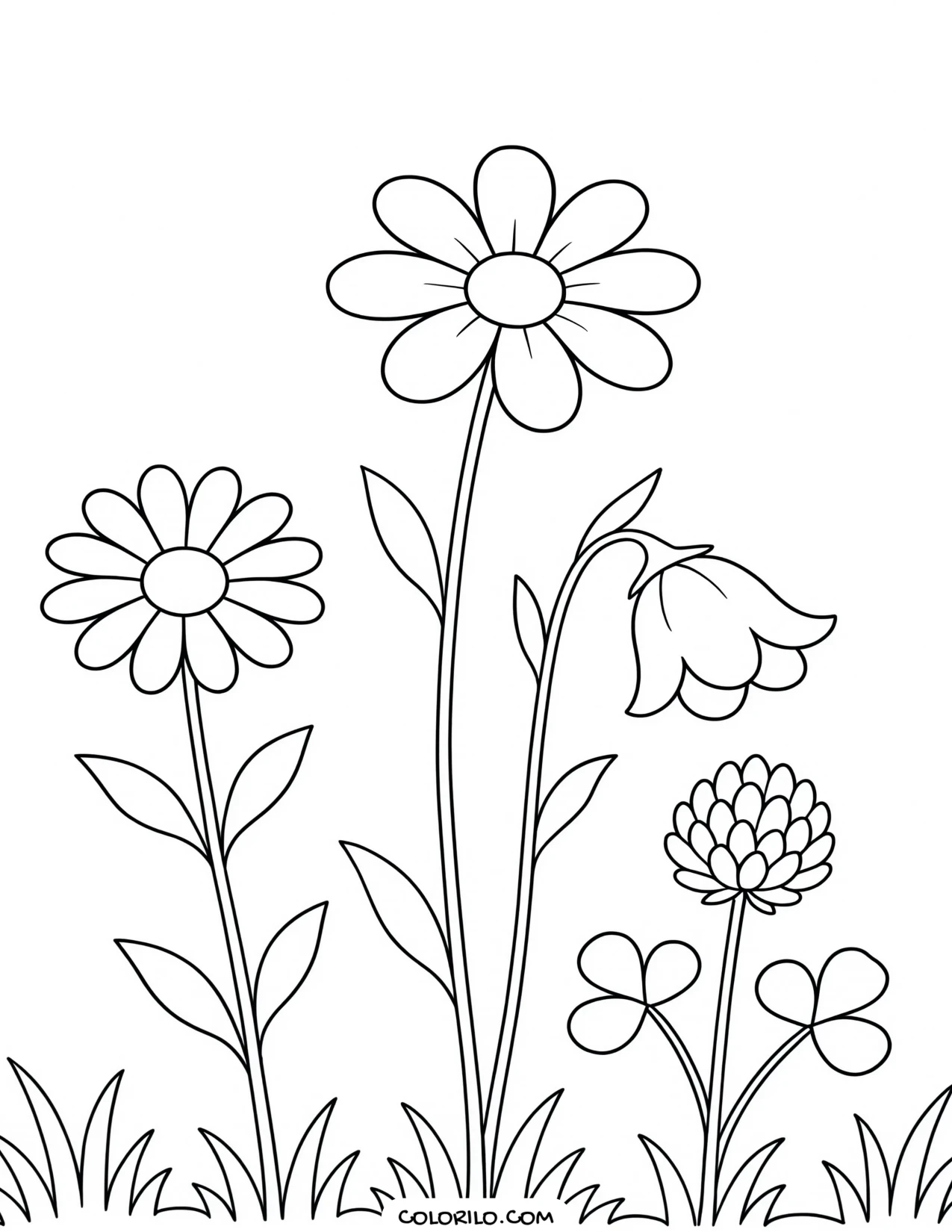 a meadow of mixed wildflowers coloring page