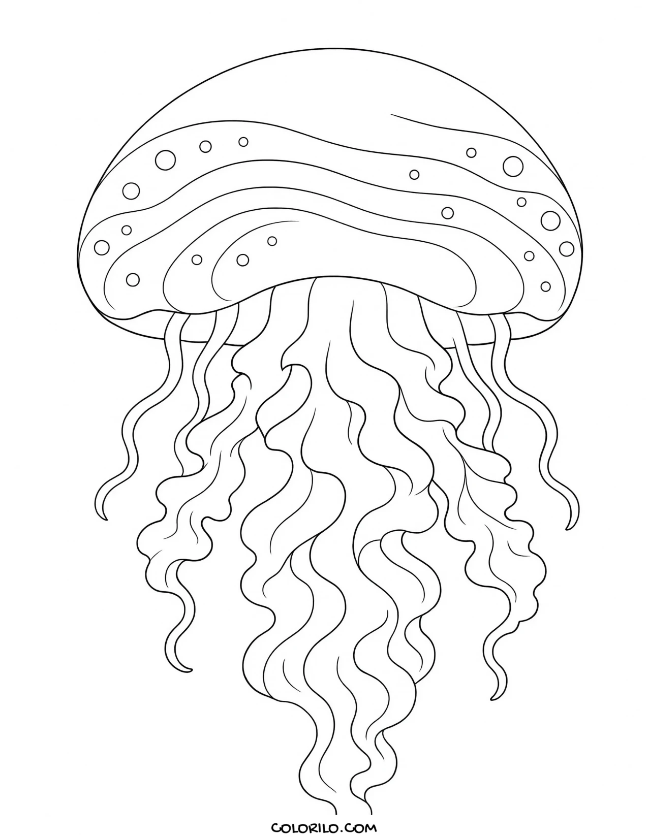 A moon jelly with its trailing oral arms coloring page