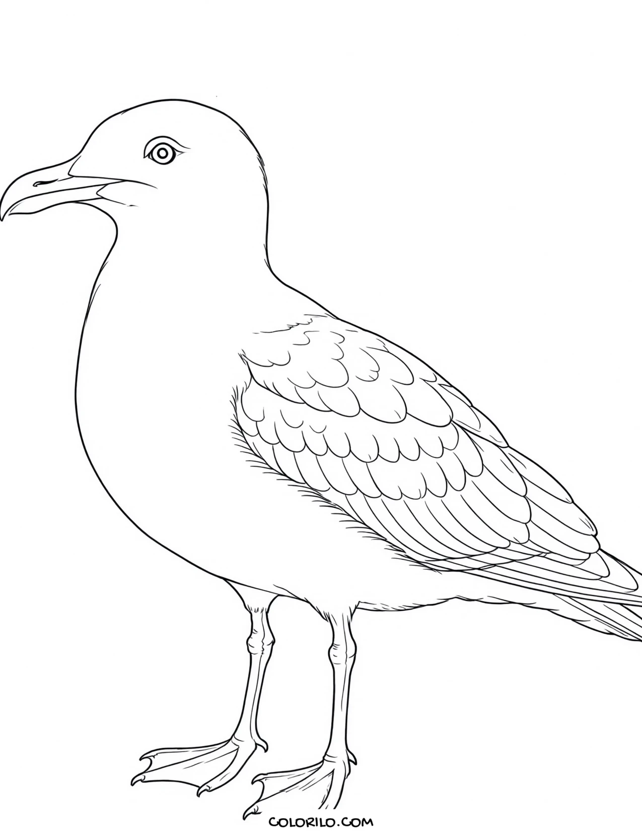 A northern mockingbird coloring page