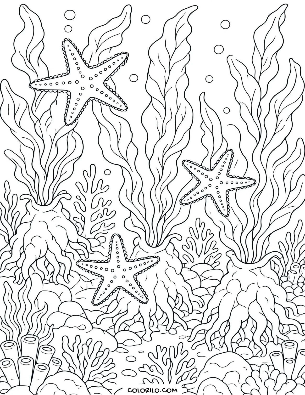 An ochre starfish among kelp holdfasts coloring page