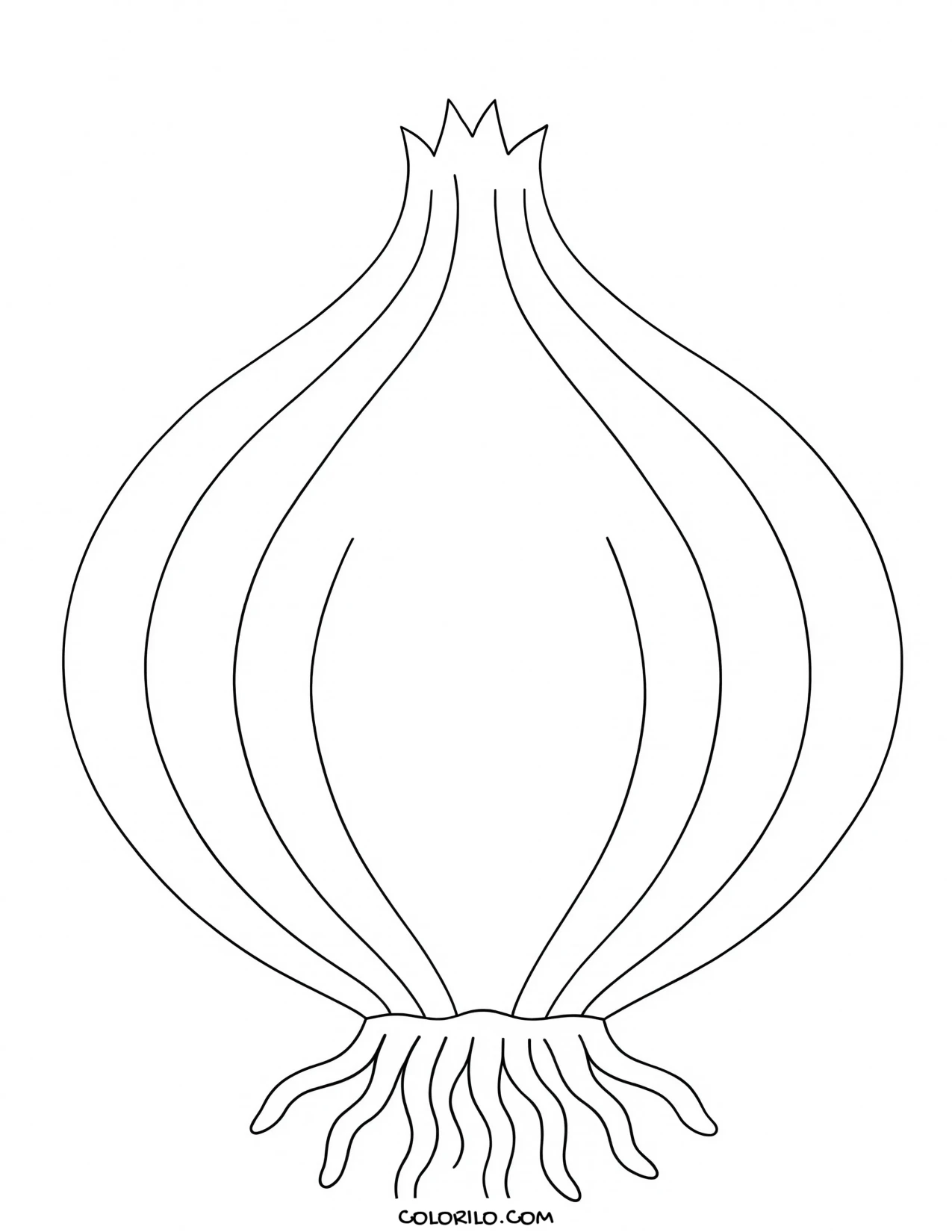 An onion with its root tips coloring page