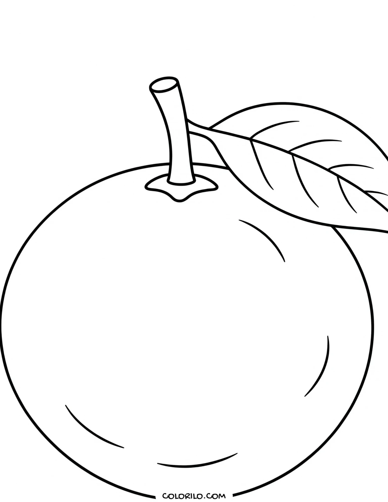 An orange with its stem and leaf coloring page