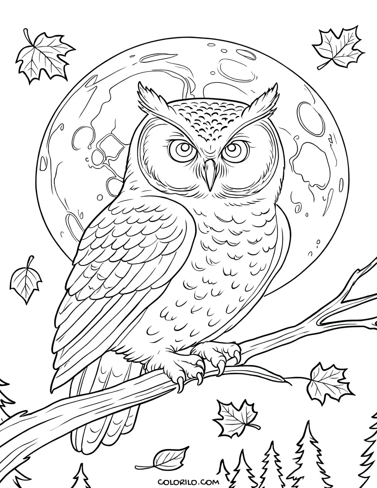An owl silhouetted against the harvest moon coloring page