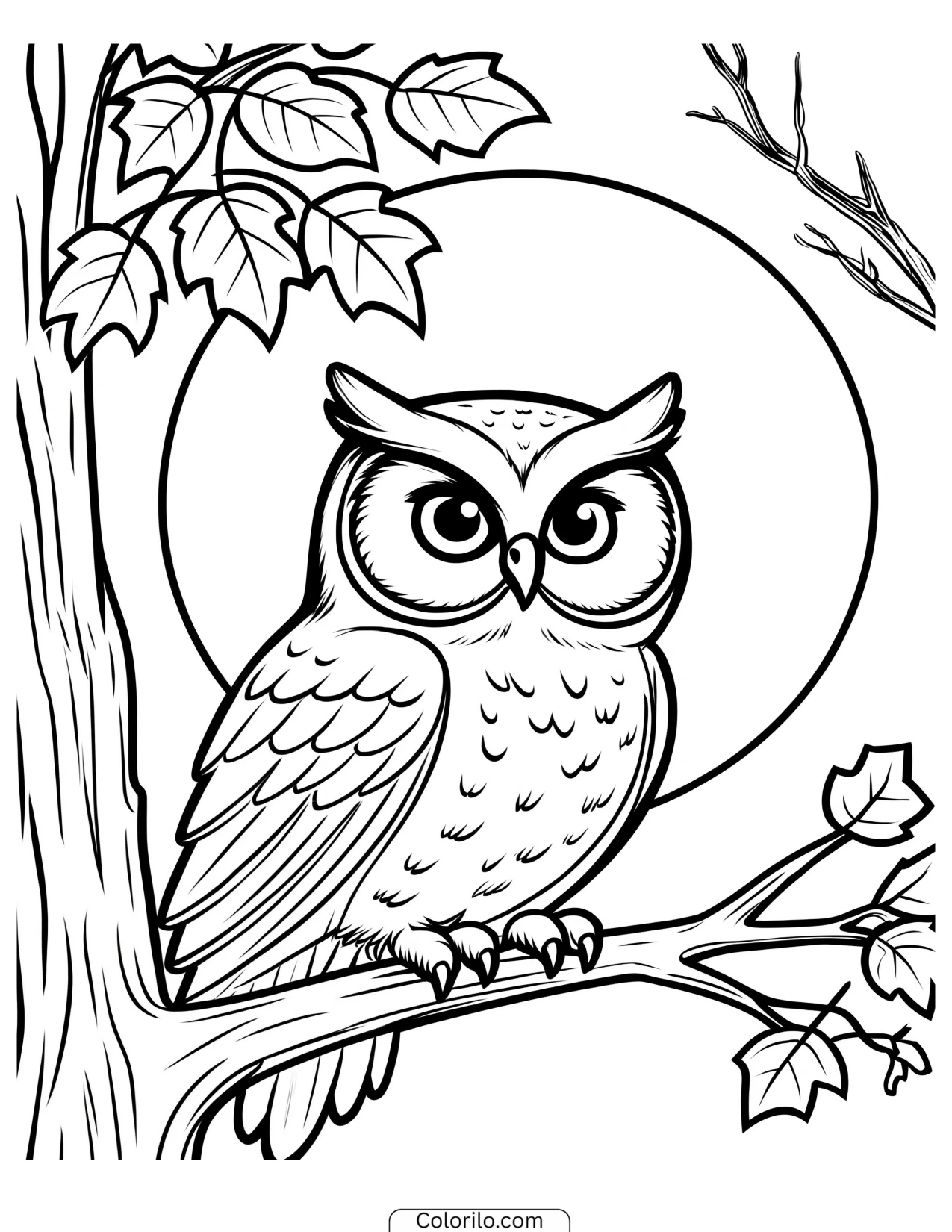 Owl perched on a bare branch coloring page