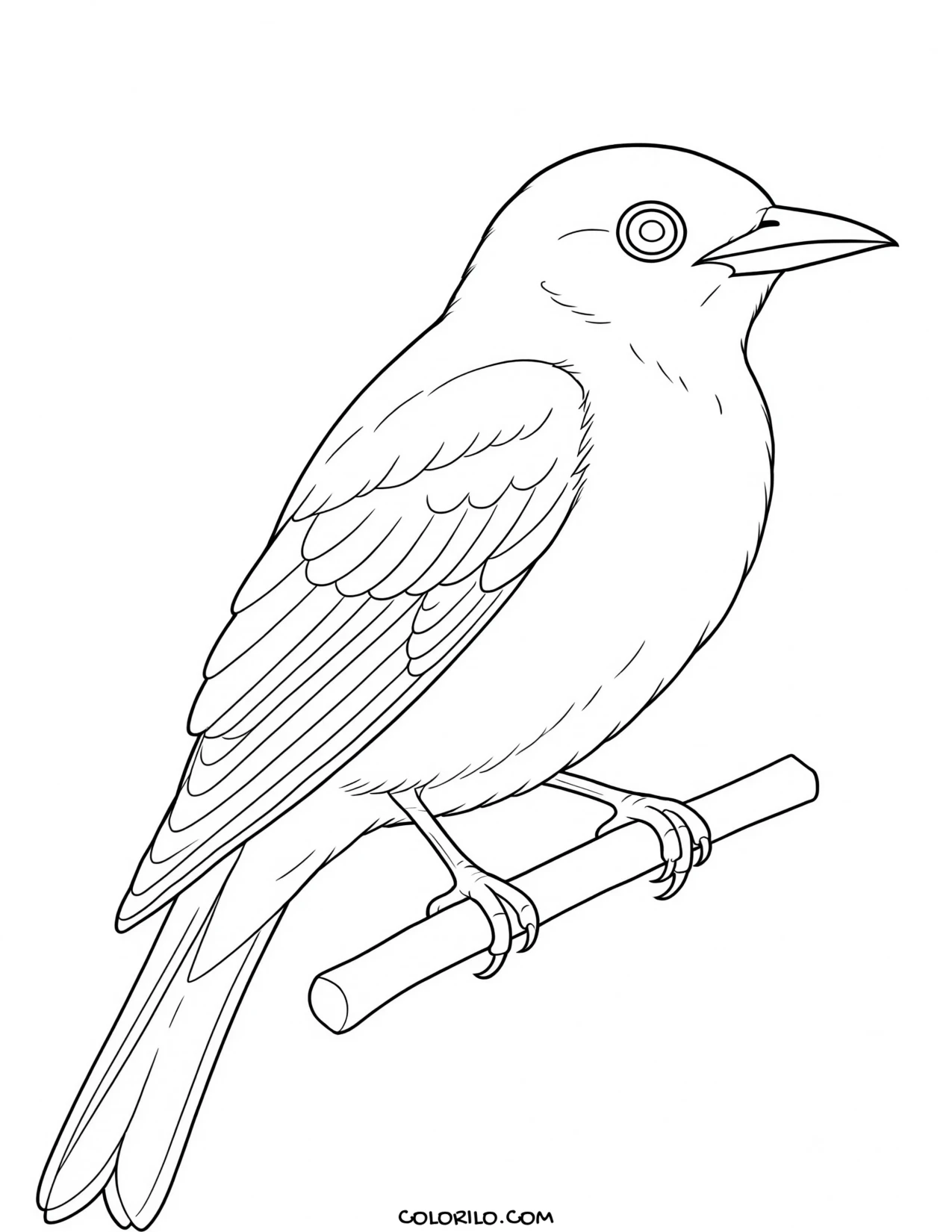 A peach-faced lovebird coloring page