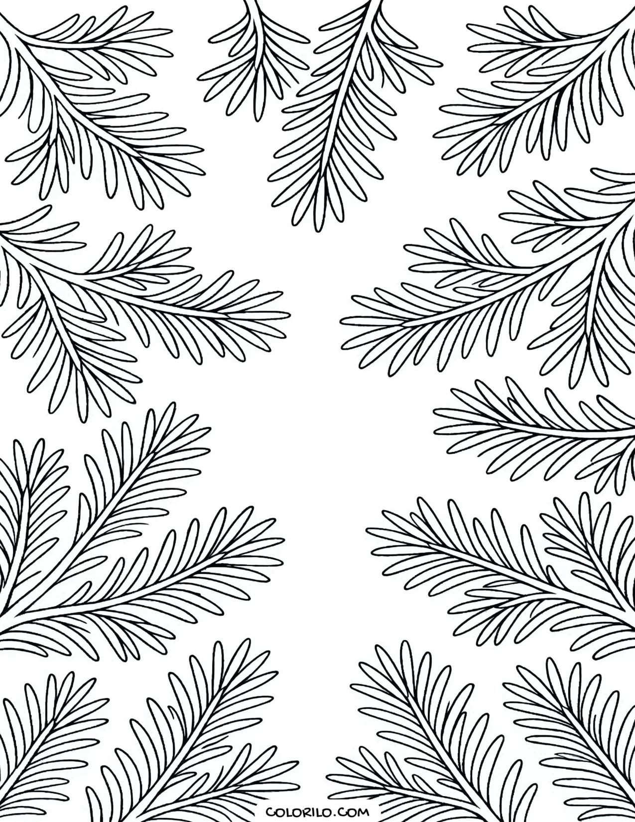 a pine canopy seen looking up through the trees coloring page