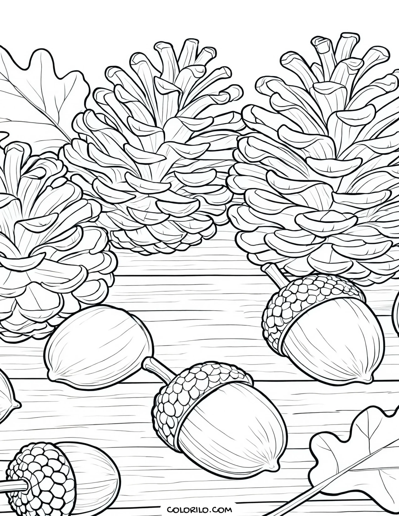 A still life of pinecones and acorns coloring page