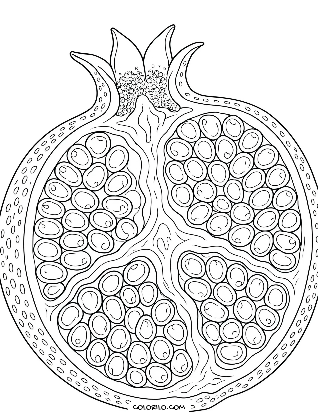 A cut pomegranate showing its packed seeds coloring page