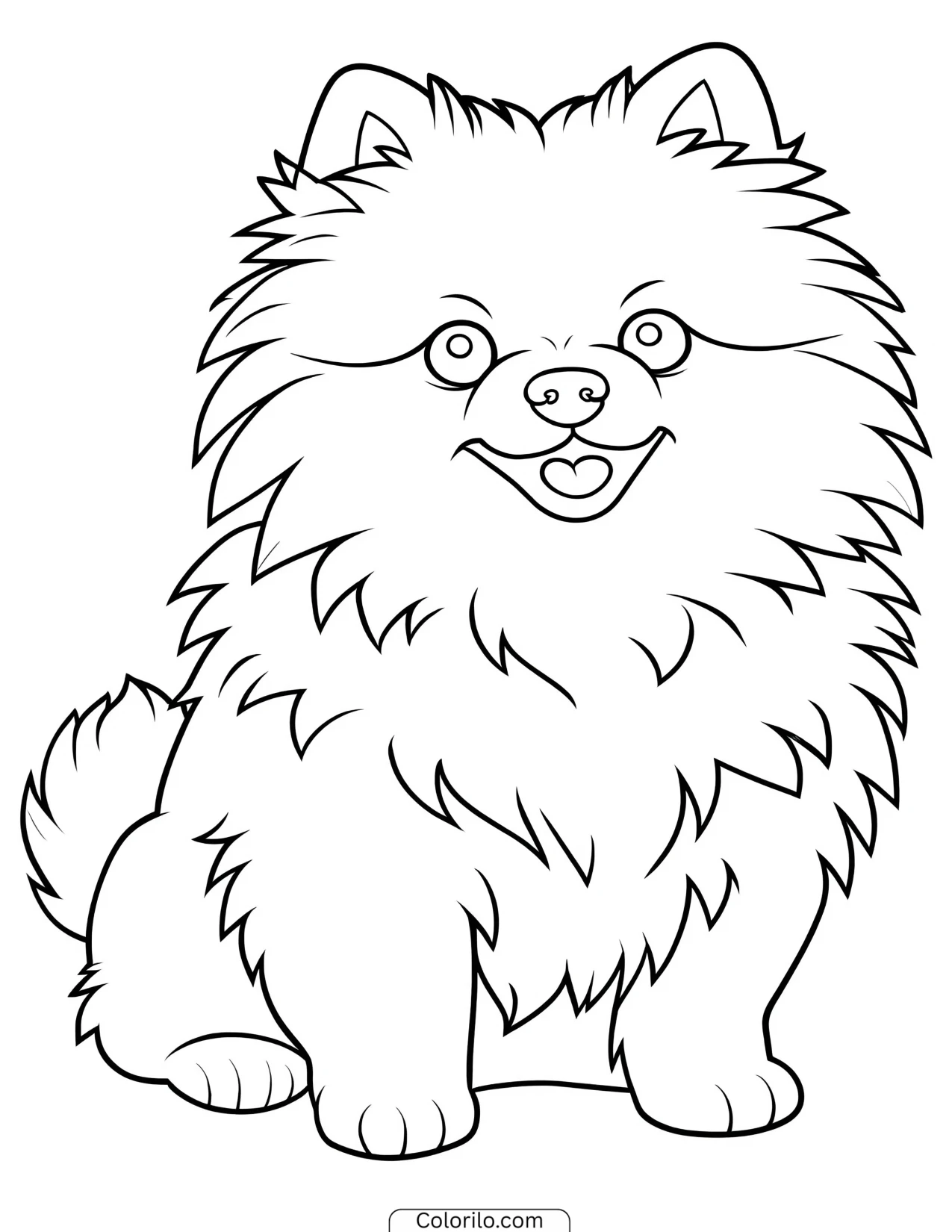 A Pomeranian sitting proudly coloring page