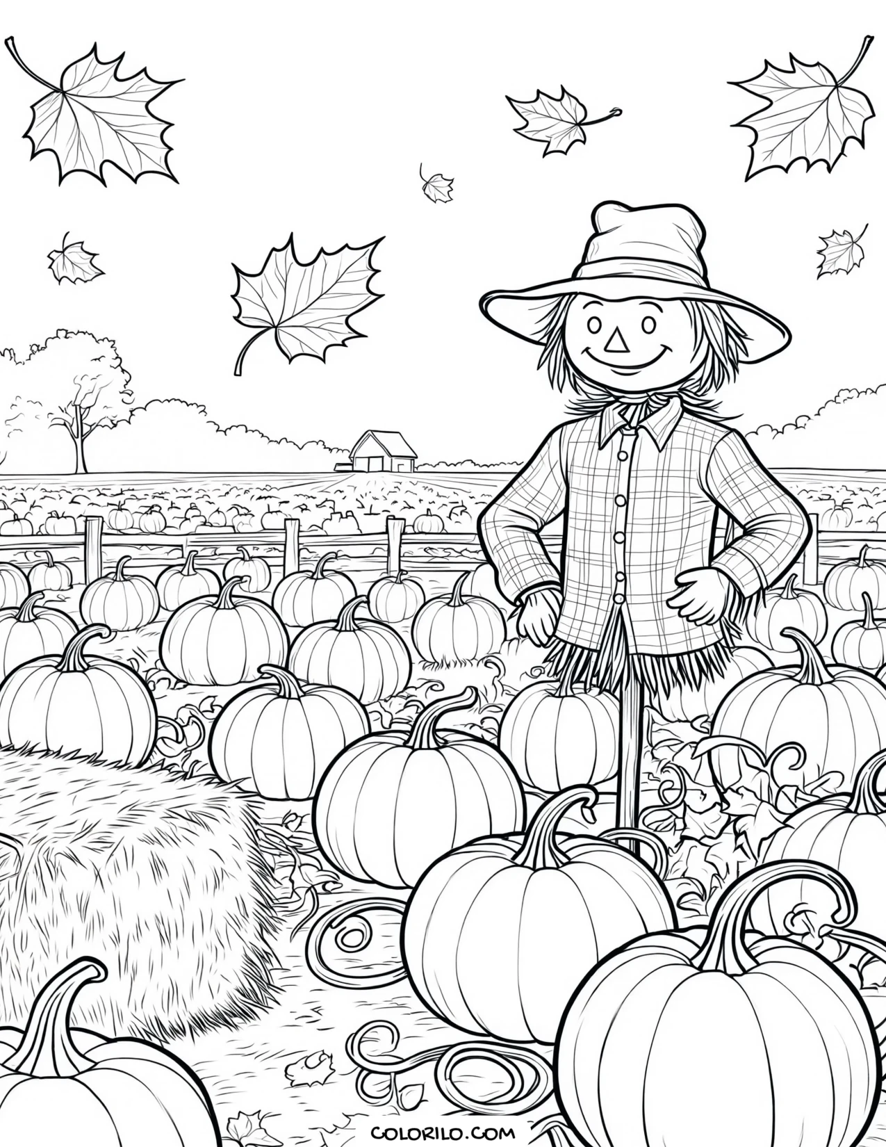 A scarecrow standing in a pumpkin patch coloring page