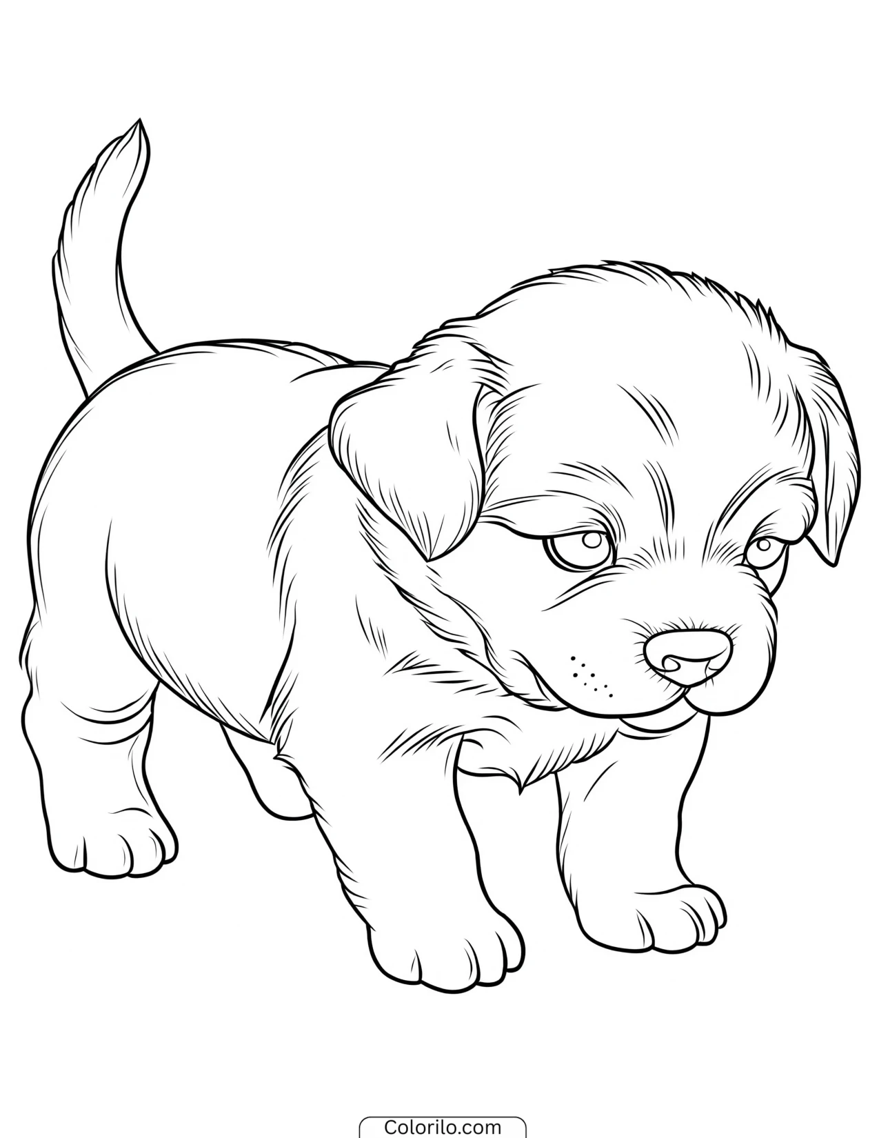 A puppy taking its first steps coloring page