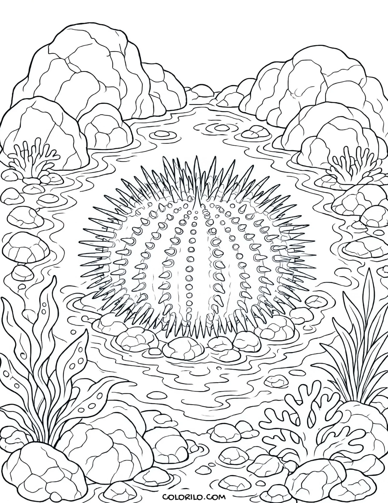 A purple sea urchin in a rocky tide pool coloring page