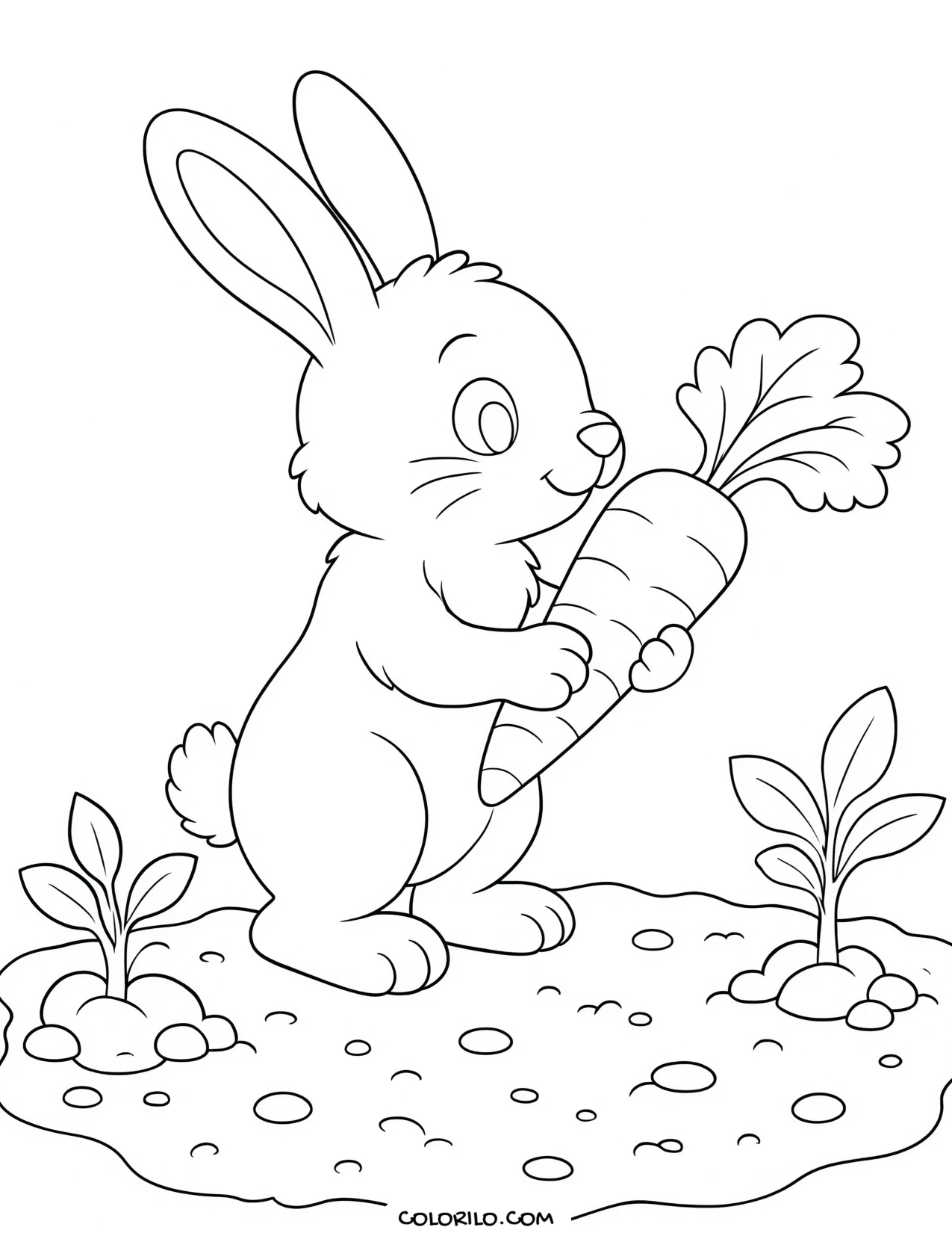 a rabbit holding a carrot coloring page