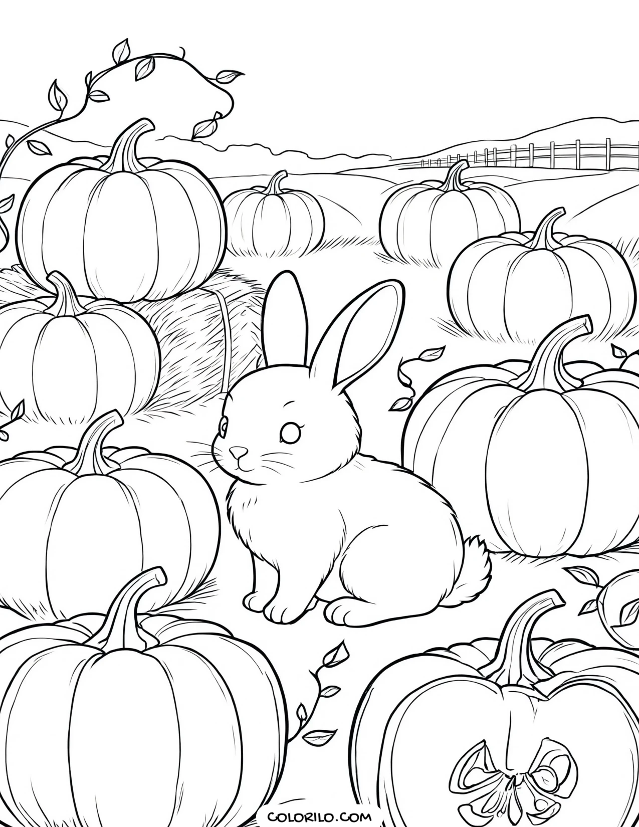 A rabbit among the pumpkins coloring page