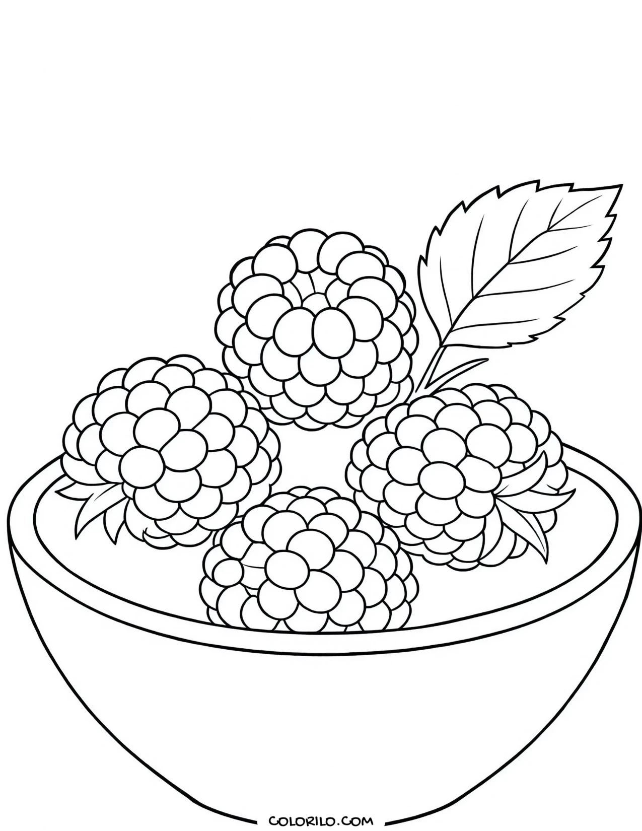 Raspberries in a bowl with a leaf coloring page