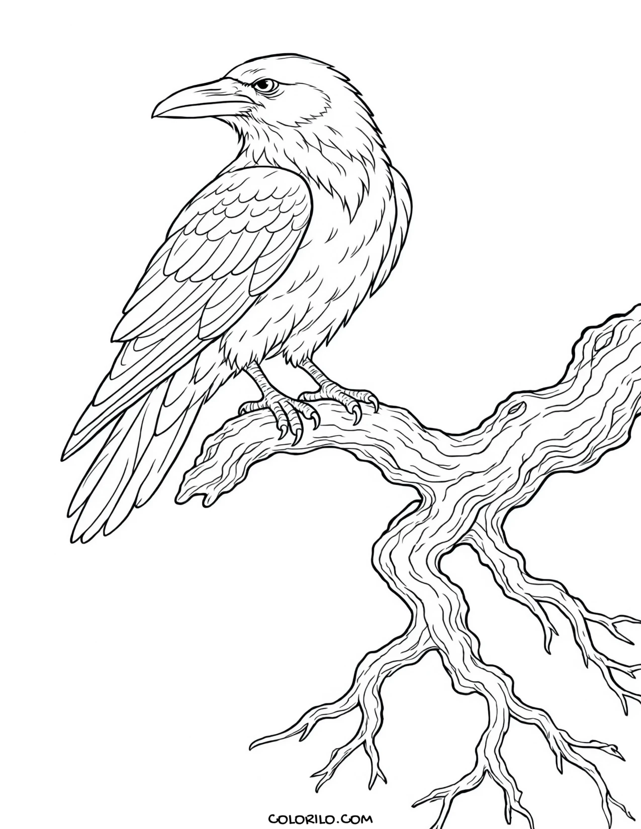 a raven standing on a bare branch coloring page