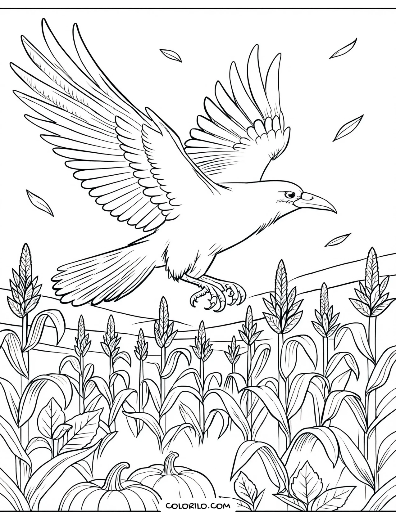 A raven flying above a cornfield coloring page