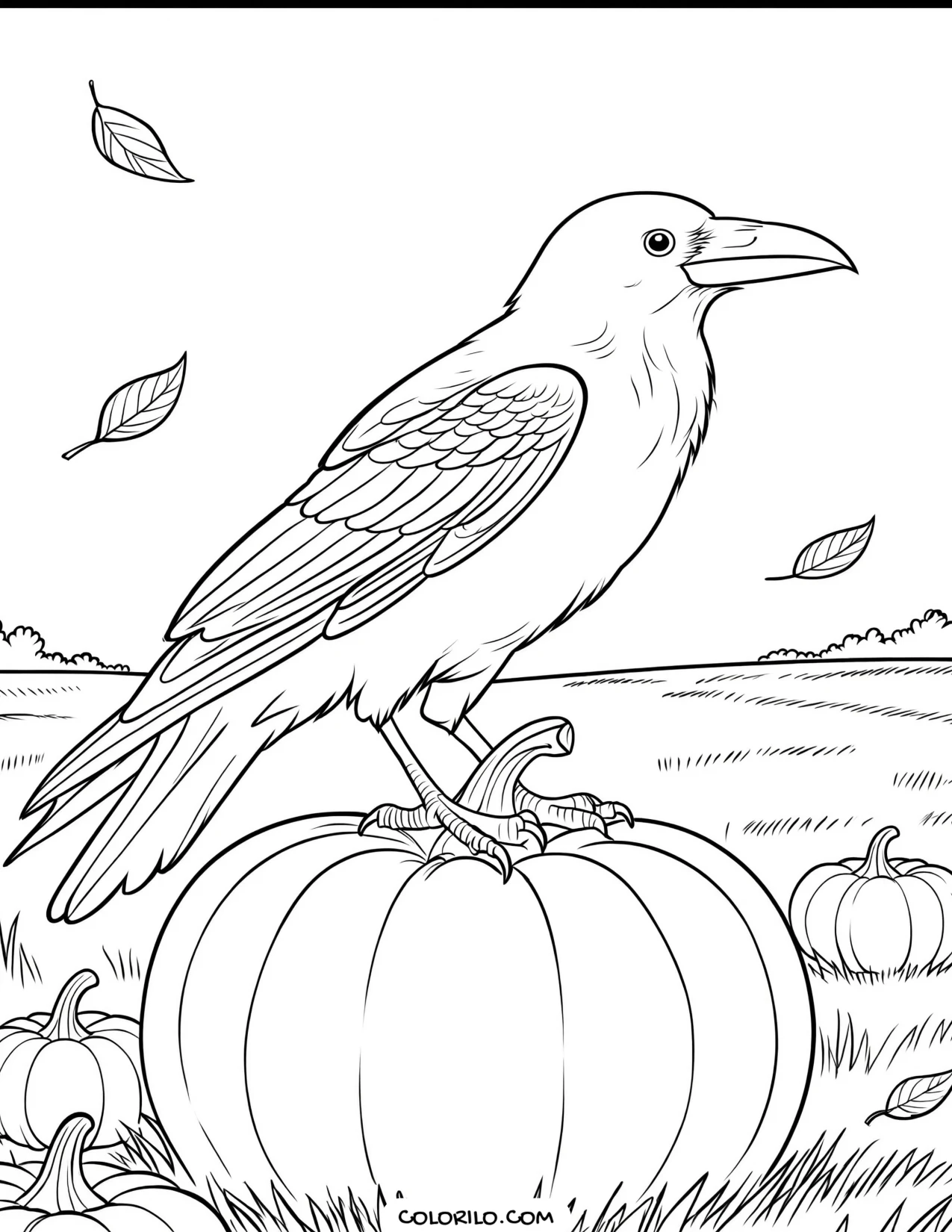 A raven perched on a pumpkin coloring page
