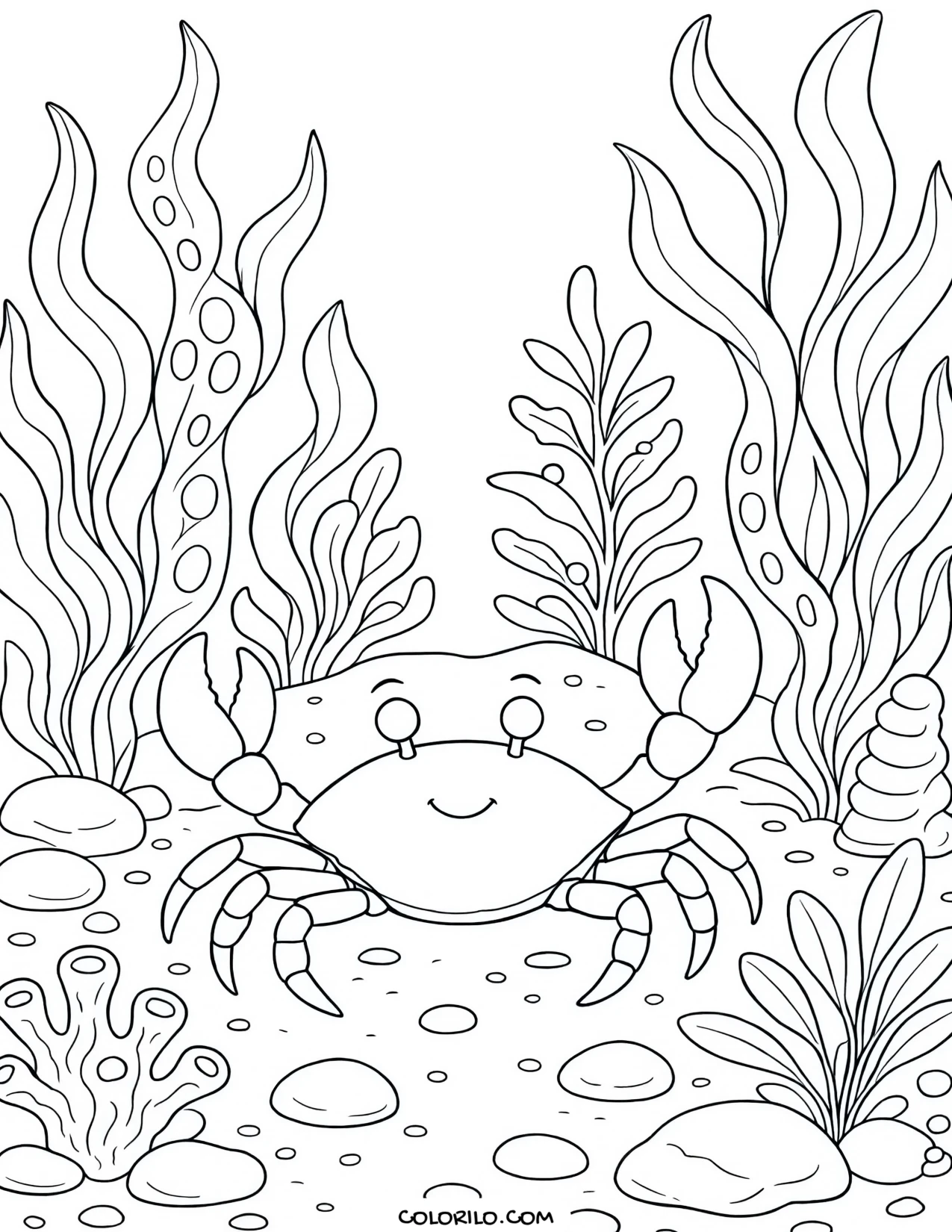 A red crab on the kelp forest floor coloring page