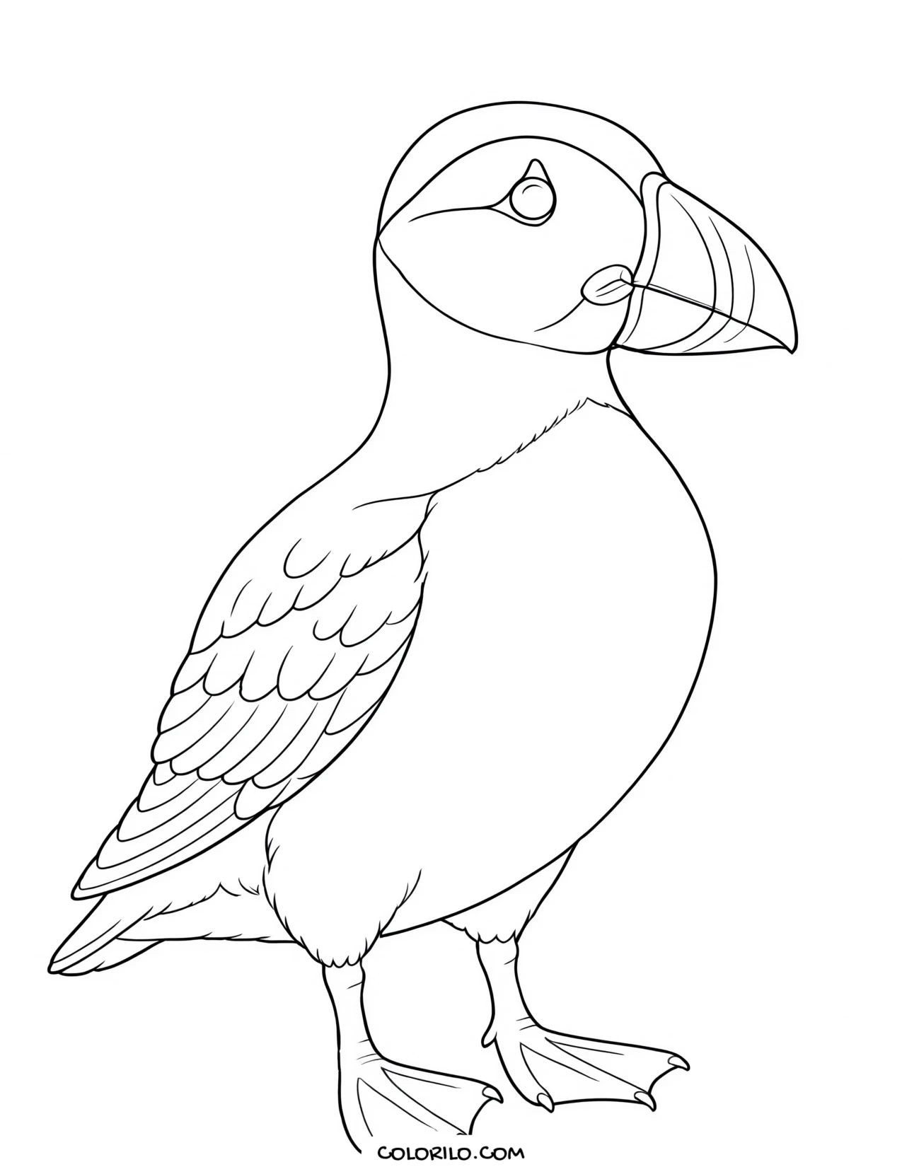 A roseate spoonbill coloring page